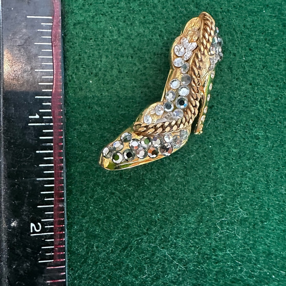 Shoe pin